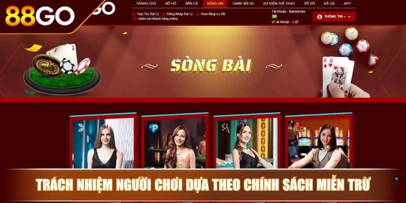Miễn Trừ Trách Nhiệm - Những Điều Hội Viên Cần Nhớ Tại 88GO 4 Trách nhiệm người chơi dựa theo chính sách miễn trừ