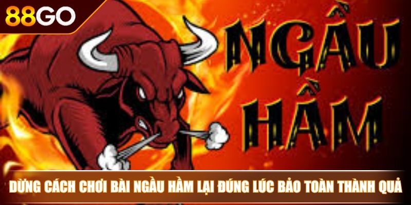 Dừng cách chơi bài ngầu hầm lại đúng lúc bảo toàn thành quả